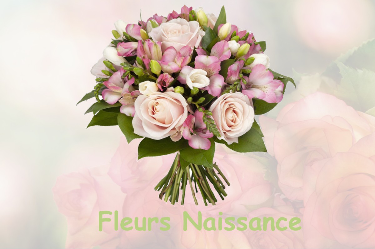 fleurs naissance CHATENAY-MALABRY