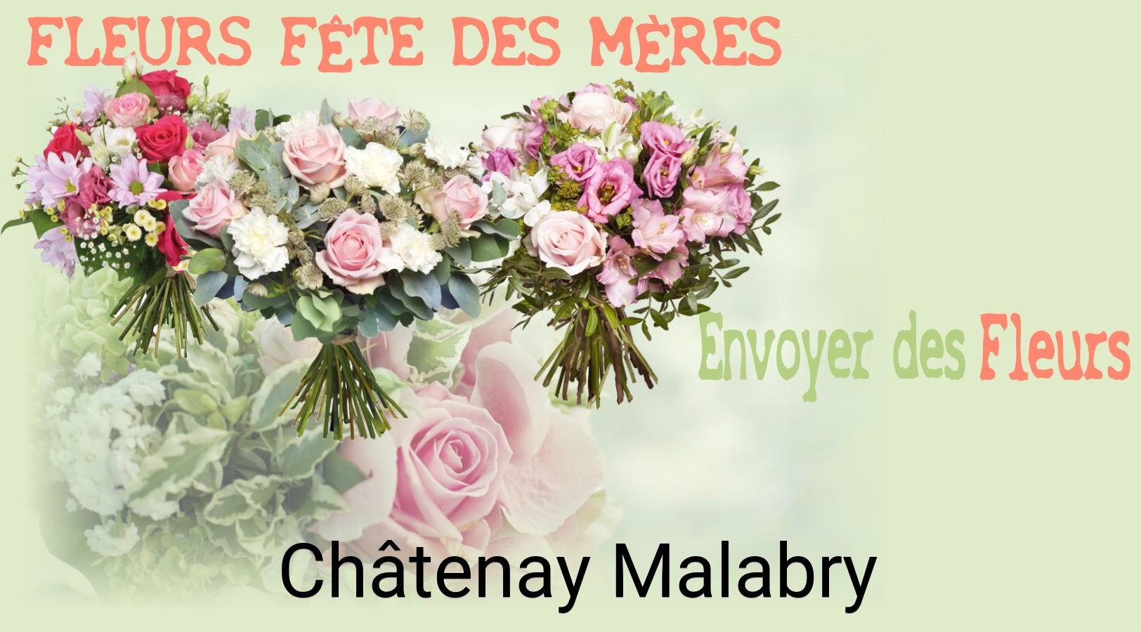 Bouquet de Fête des Mères livré à Châtenay-Malabry