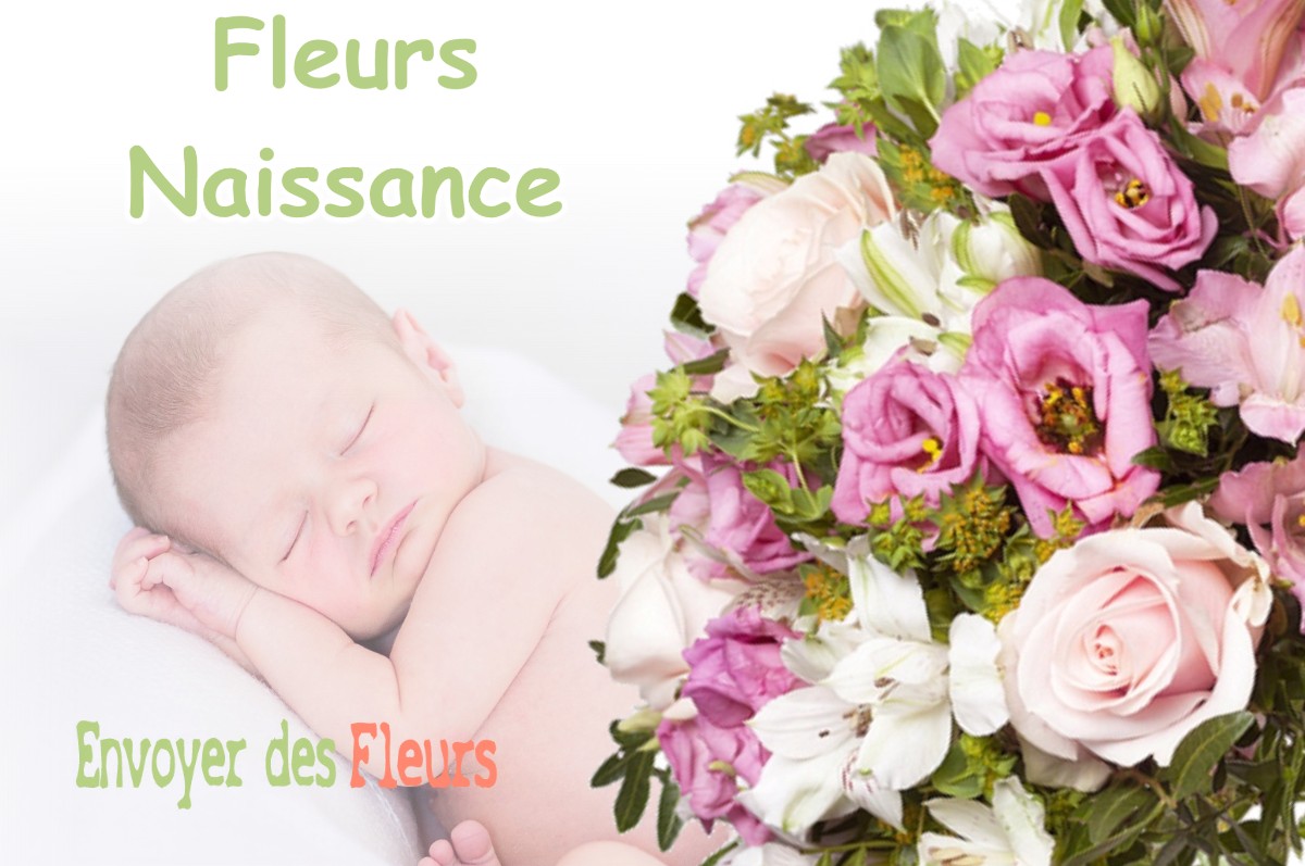 lIVRAISON FLEURS NAISSANCE à CHATENAY-MALABRY